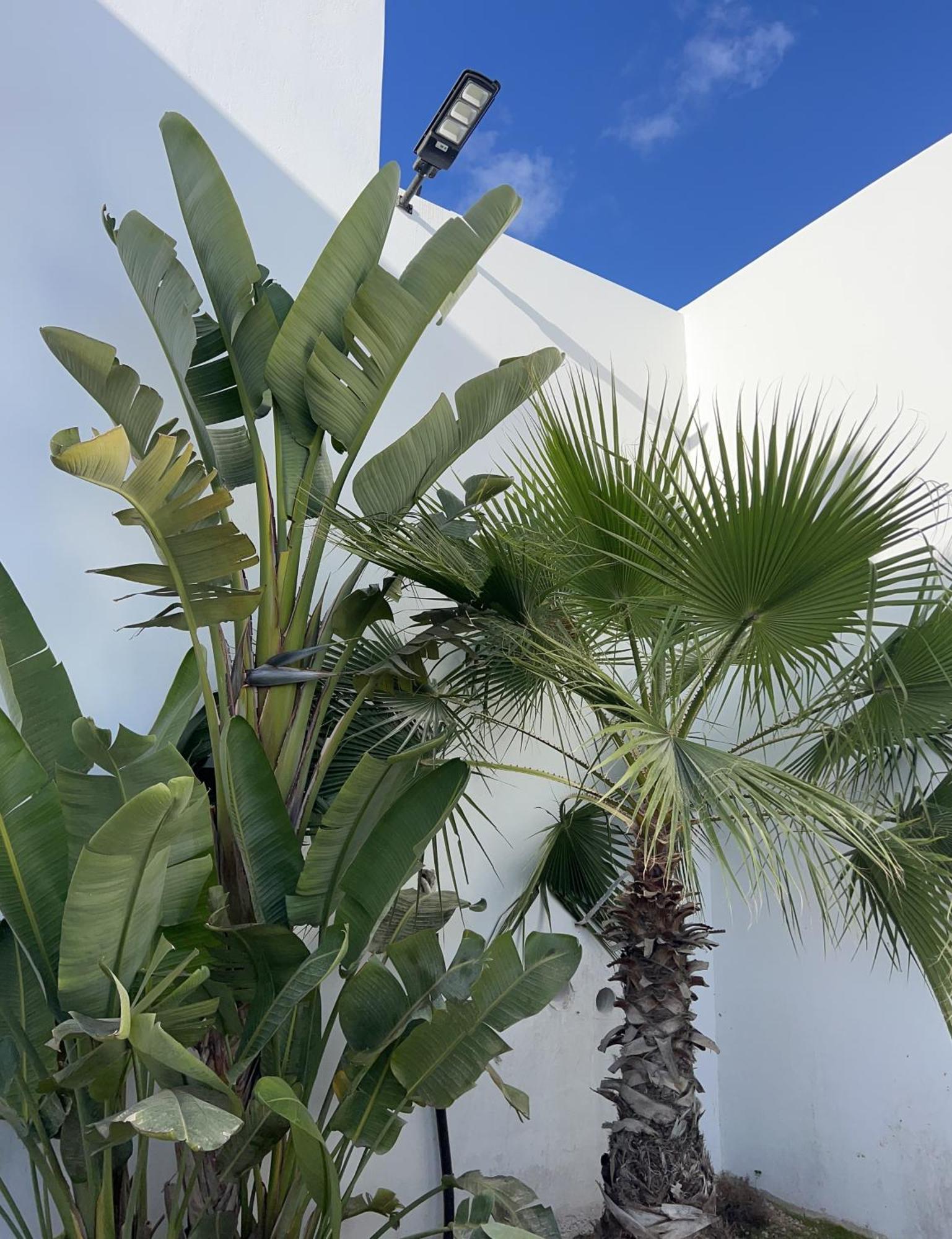 Villa Sunsenses Luxury Paros Piso Livadi