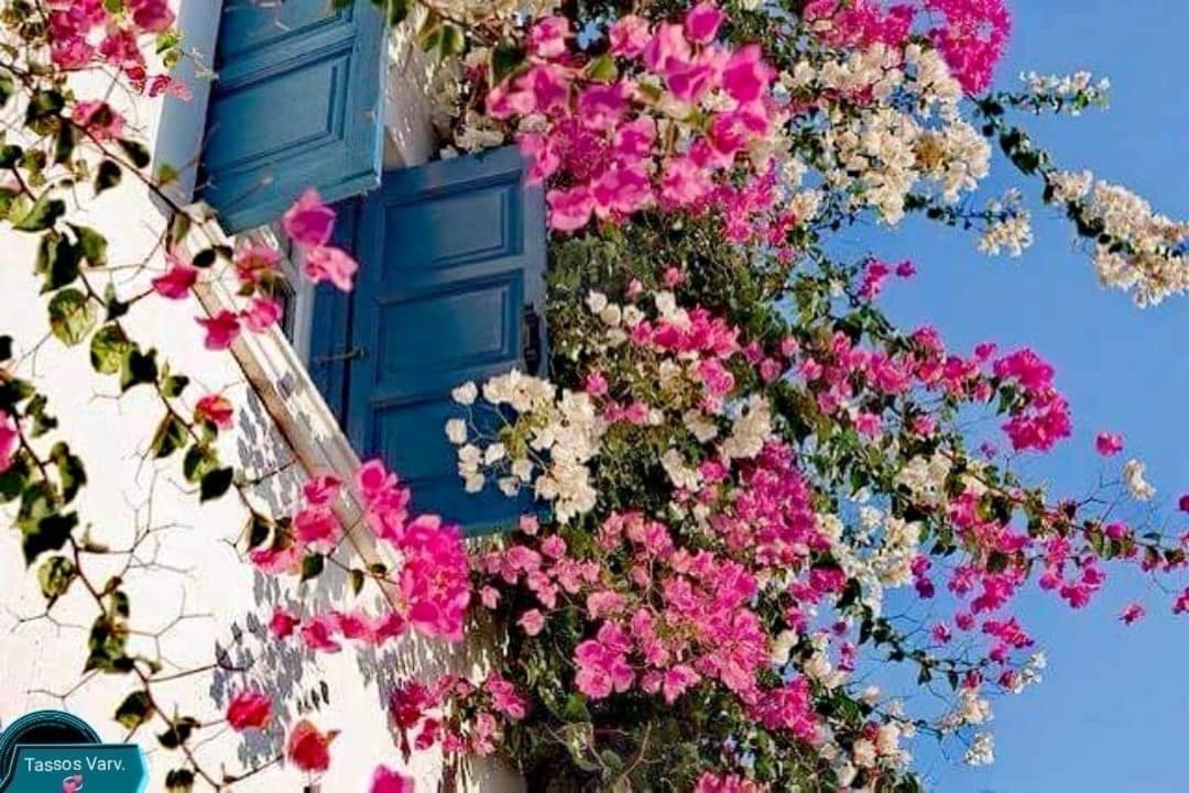 Sunsenses Luxury Paros Piso Livadi