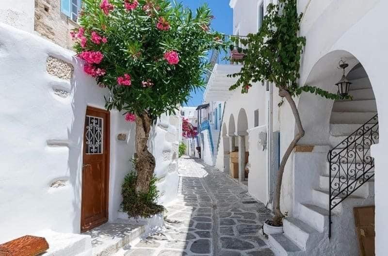 Sunsenses Luxury Paros * Piso Livadi